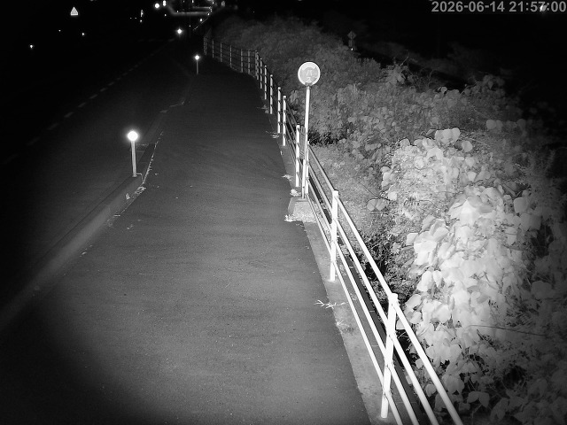 湯梨浜町方地～野花【東郷池周辺】