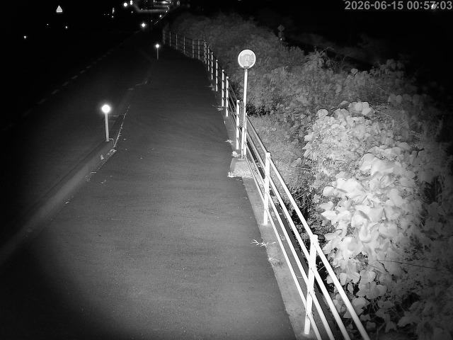 湯梨浜町方地～野花【東郷池周辺】
