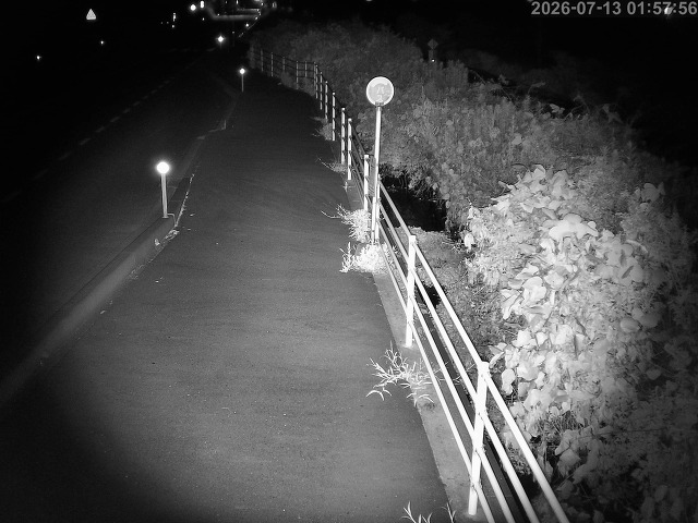 湯梨浜町方地～野花【東郷池周辺】