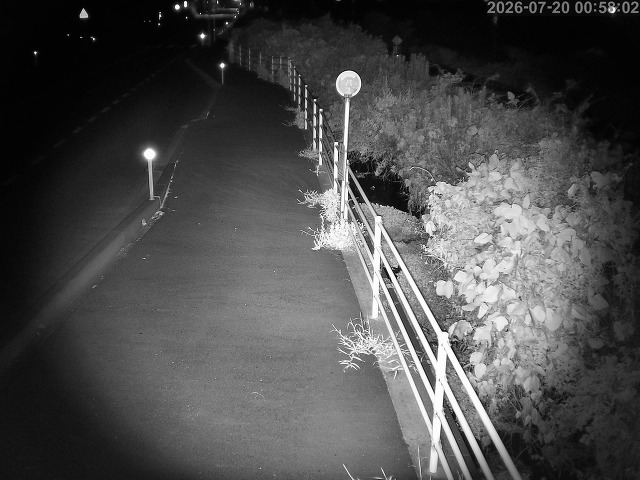 湯梨浜町方地～野花【東郷池周辺】