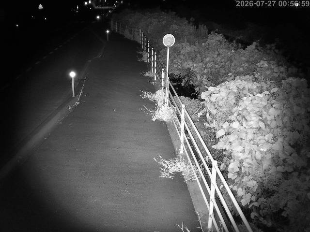 湯梨浜町方地～野花【東郷池周辺】