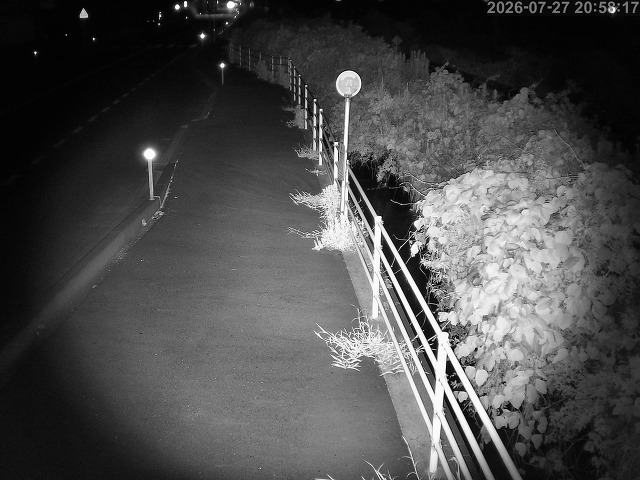 湯梨浜町方地～野花【東郷池周辺】