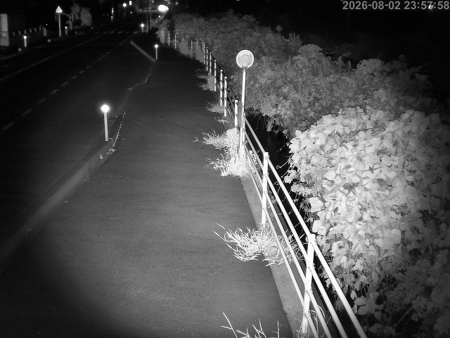 湯梨浜町方地～野花【東郷池周辺】