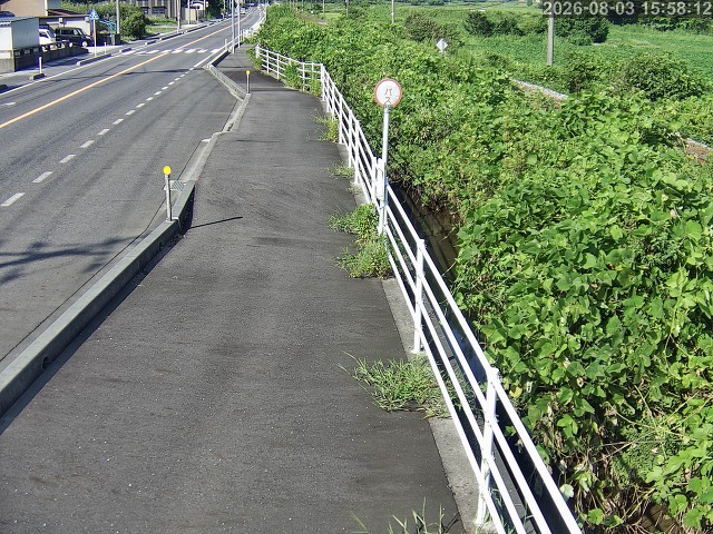 湯梨浜町方地～野花【東郷池周辺】