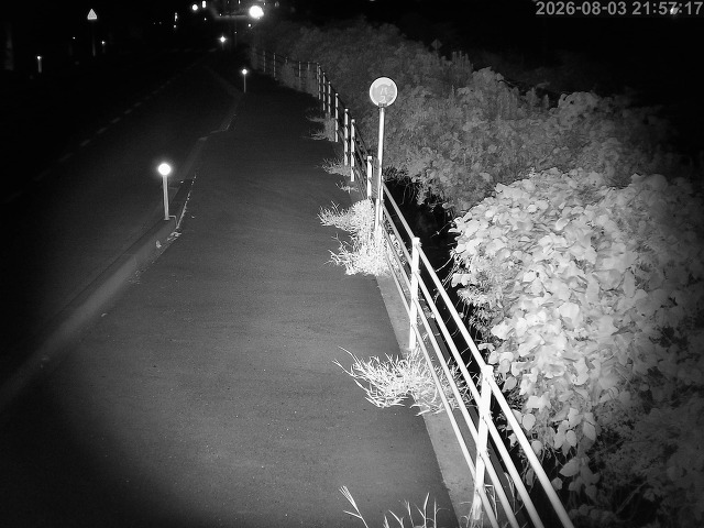 湯梨浜町方地～野花【東郷池周辺】