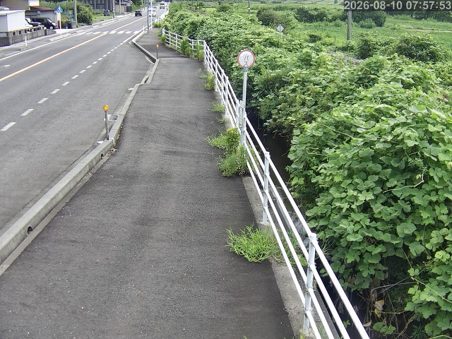 湯梨浜町方地～野花【東郷池周辺】
