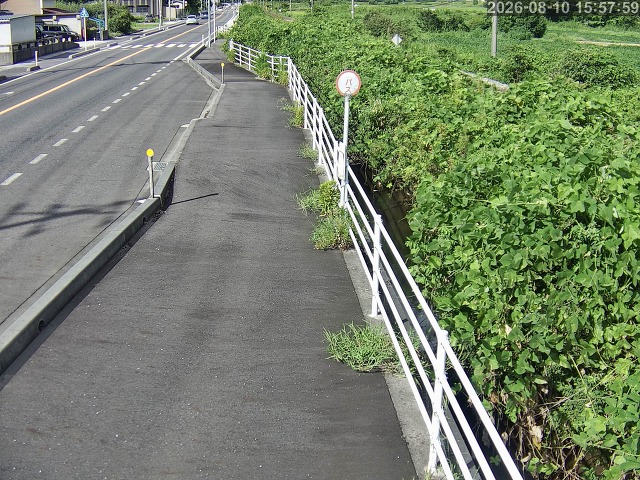 湯梨浜町方地～野花【東郷池周辺】