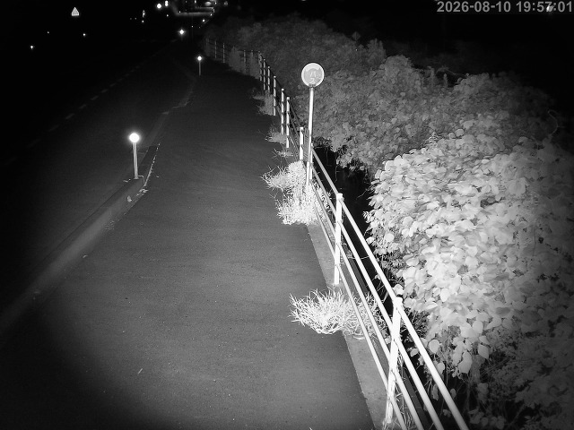 湯梨浜町方地～野花【東郷池周辺】