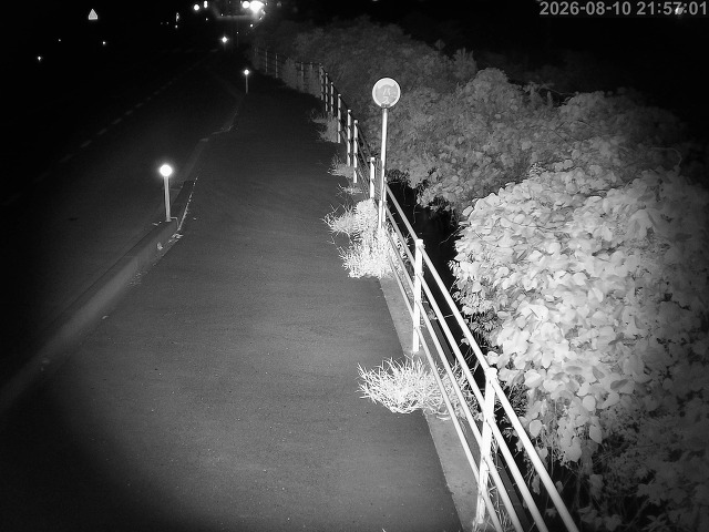 湯梨浜町方地～野花【東郷池周辺】