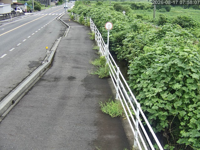 湯梨浜町方地～野花【東郷池周辺】