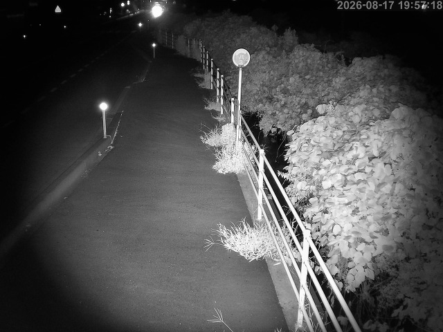 湯梨浜町方地～野花【東郷池周辺】