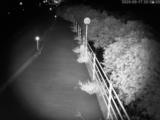 湯梨浜町方地～野花【東郷池周辺】