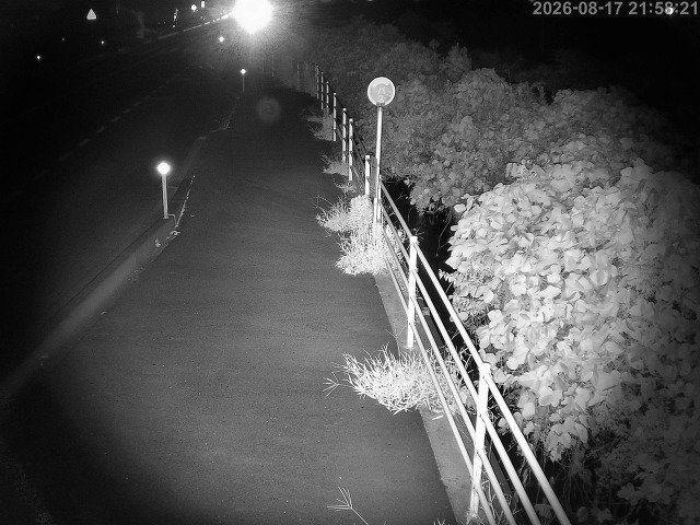 湯梨浜町方地～野花【東郷池周辺】