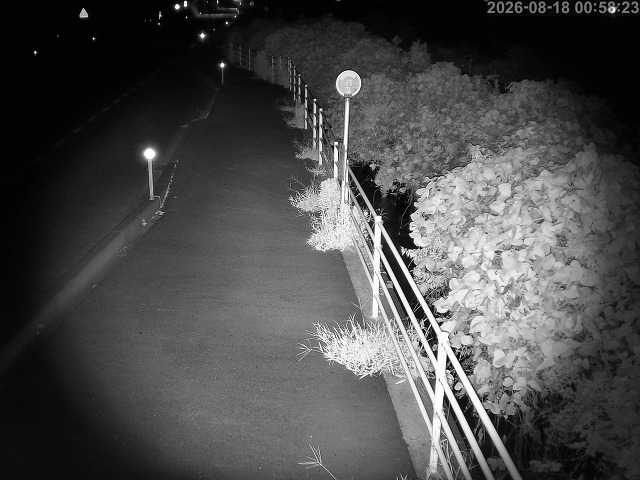 湯梨浜町方地～野花【東郷池周辺】