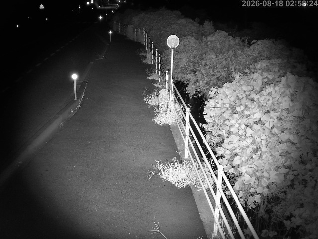 湯梨浜町方地～野花【東郷池周辺】