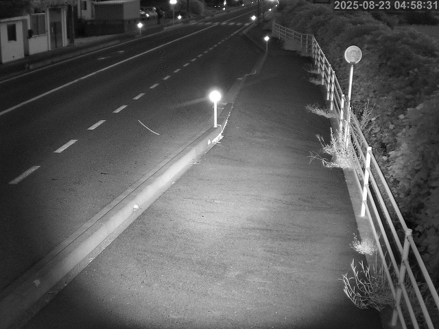 湯梨浜町方地～野花【東郷池周辺】