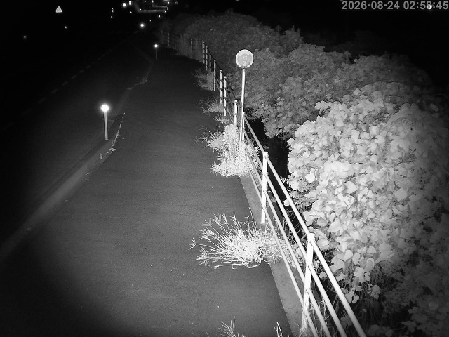 湯梨浜町方地～野花【東郷池周辺】