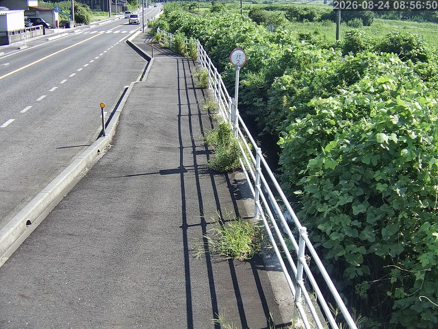 湯梨浜町方地～野花【東郷池周辺】