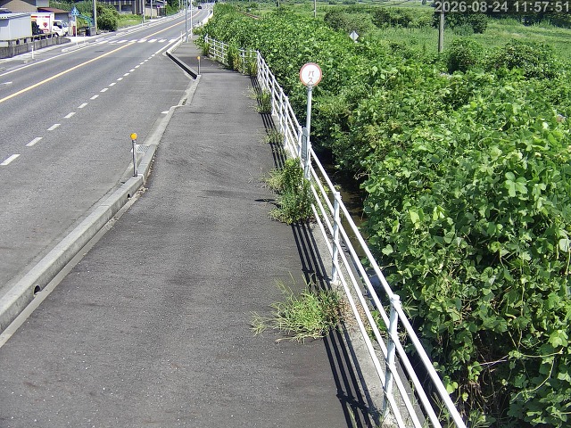 湯梨浜町方地～野花【東郷池周辺】