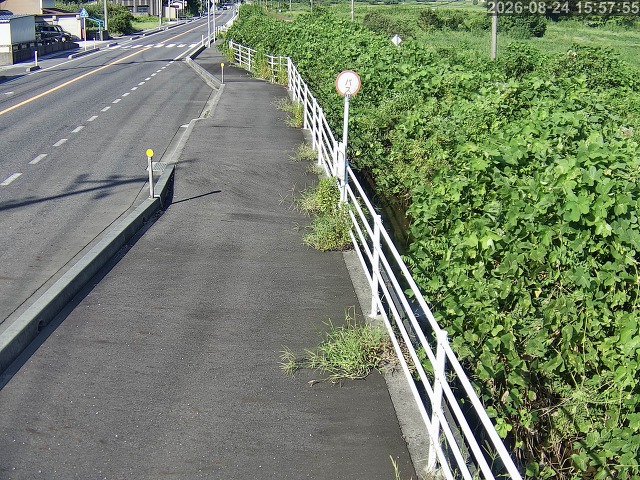 湯梨浜町方地～野花【東郷池周辺】