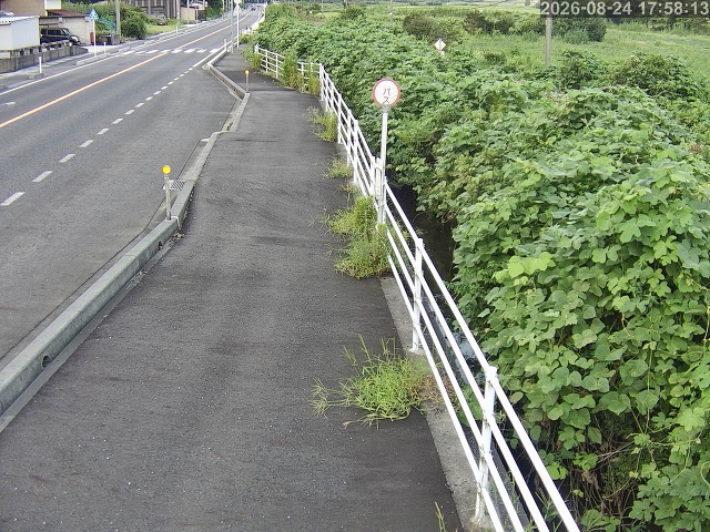 湯梨浜町方地～野花【東郷池周辺】