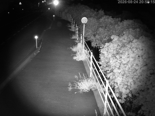 湯梨浜町方地～野花【東郷池周辺】