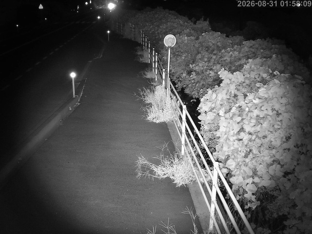 湯梨浜町方地～野花【東郷池周辺】