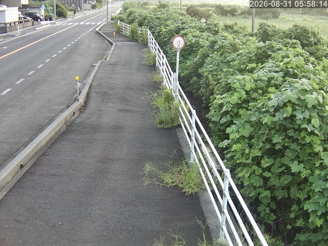 湯梨浜町方地～野花【東郷池周辺】