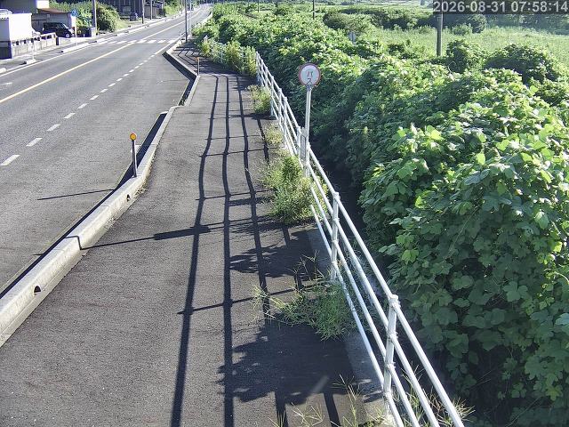 湯梨浜町方地～野花【東郷池周辺】