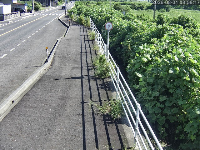 湯梨浜町方地～野花【東郷池周辺】