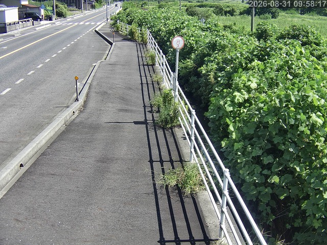 湯梨浜町方地～野花【東郷池周辺】