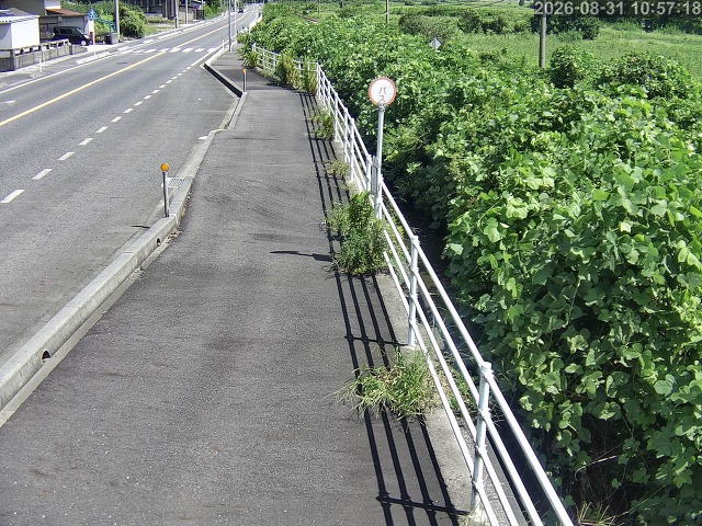 湯梨浜町方地～野花【東郷池周辺】