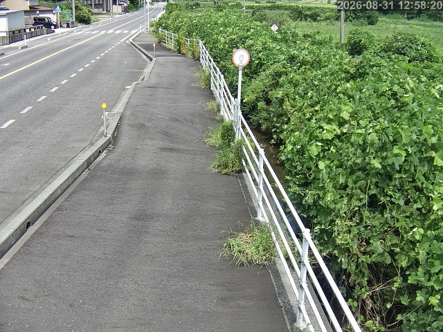 湯梨浜町方地～野花【東郷池周辺】