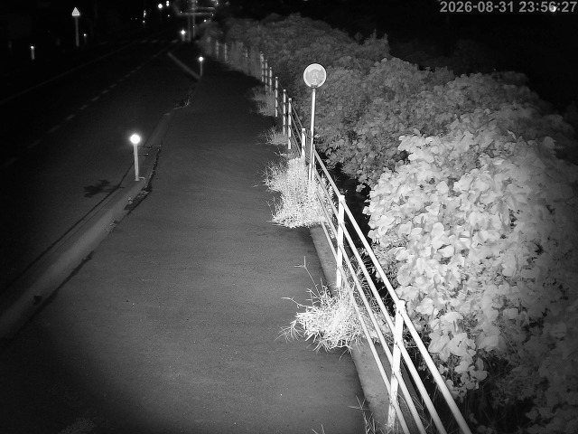湯梨浜町方地～野花【東郷池周辺】