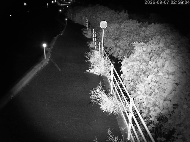 湯梨浜町方地～野花【東郷池周辺】