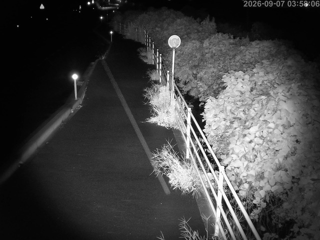 湯梨浜町方地～野花【東郷池周辺】