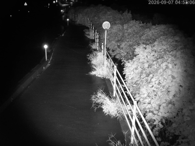 湯梨浜町方地～野花【東郷池周辺】
