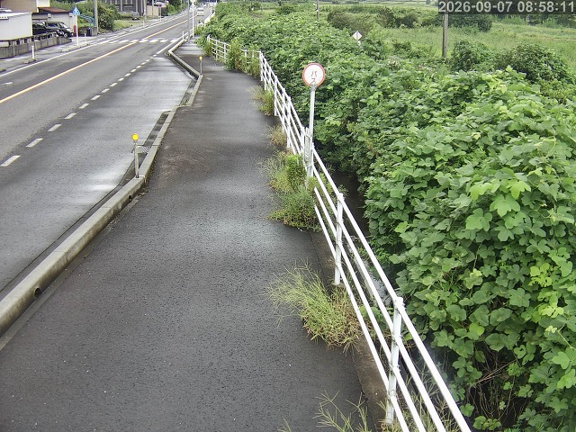 湯梨浜町方地～野花【東郷池周辺】
