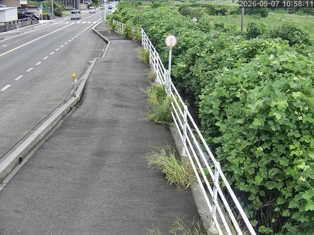 湯梨浜町方地～野花【東郷池周辺】