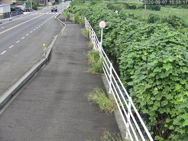 湯梨浜町方地～野花【東郷池周辺】