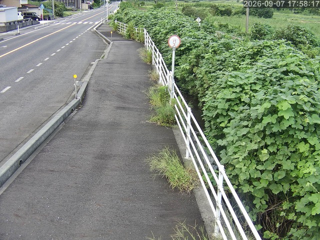 湯梨浜町方地～野花【東郷池周辺】