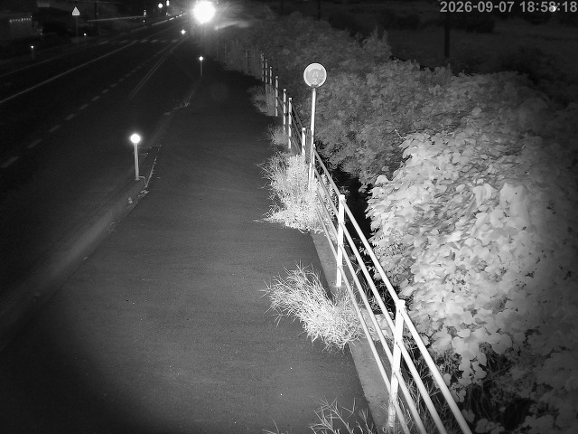 湯梨浜町方地～野花【東郷池周辺】