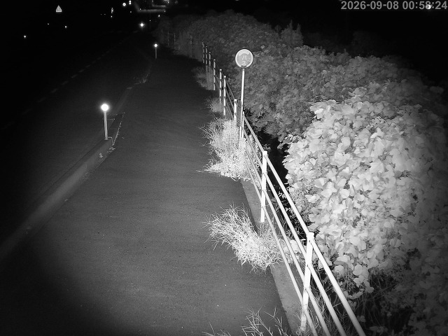 湯梨浜町方地～野花【東郷池周辺】