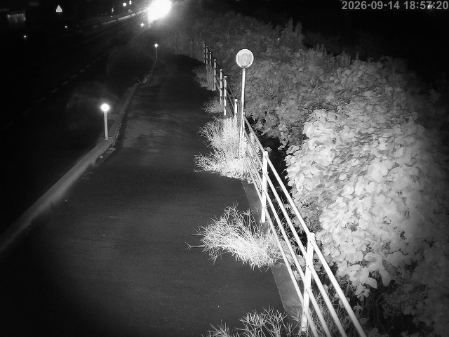 湯梨浜町方地～野花【東郷池周辺】