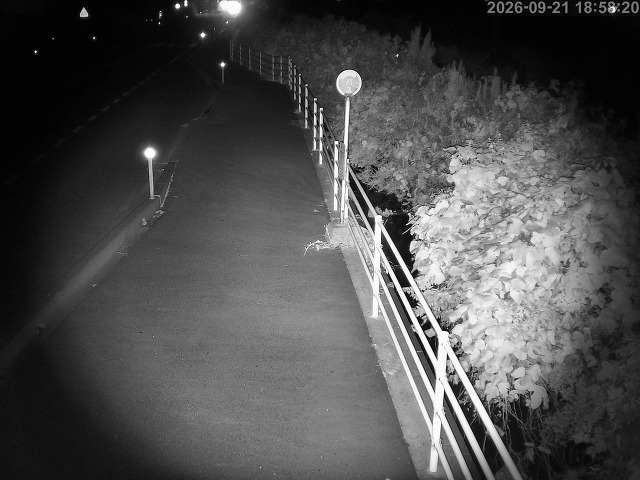湯梨浜町方地～野花【東郷池周辺】
