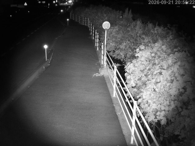 湯梨浜町方地～野花【東郷池周辺】