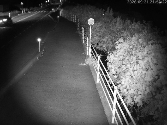 湯梨浜町方地～野花【東郷池周辺】