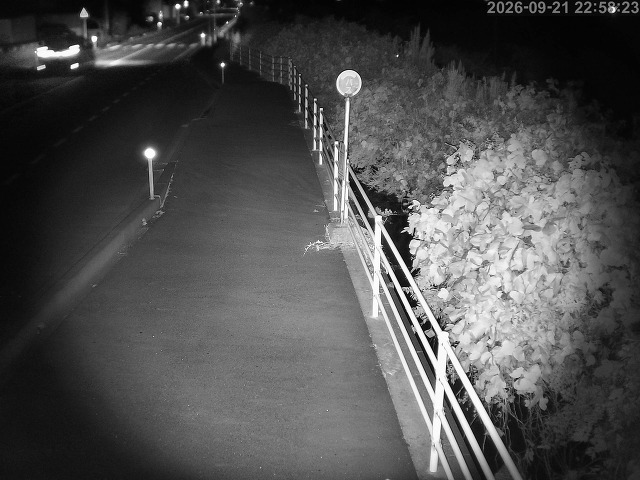 湯梨浜町方地～野花【東郷池周辺】