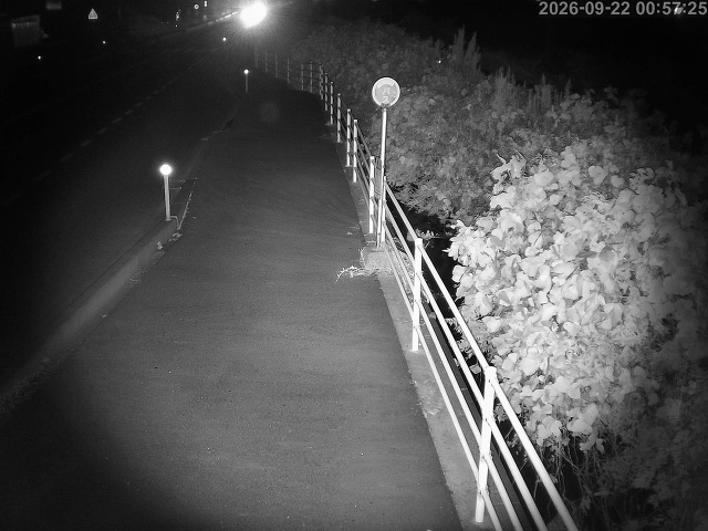 湯梨浜町方地～野花【東郷池周辺】