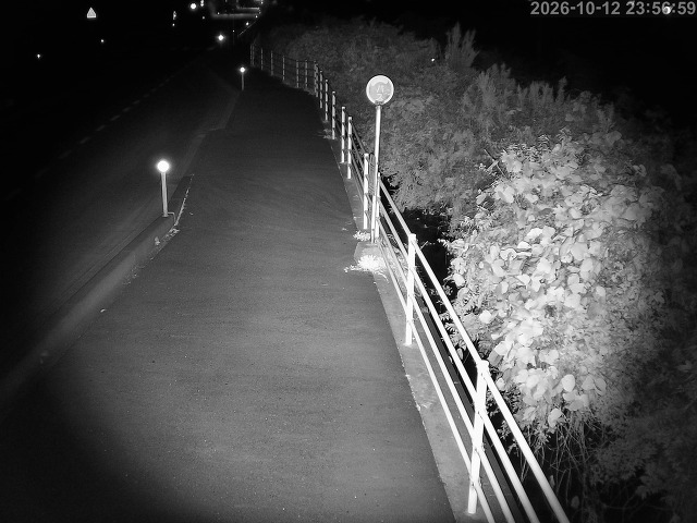 湯梨浜町方地～野花【東郷池周辺】